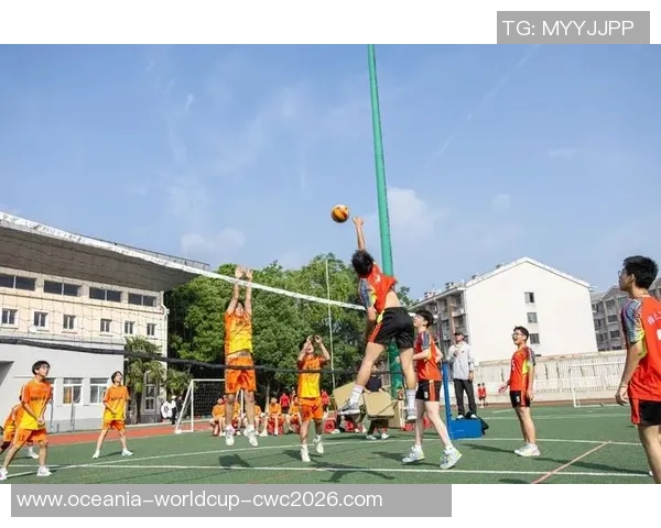 球场三英汇聚激情与梦想足球篮球排球的魅力与挑战探讨